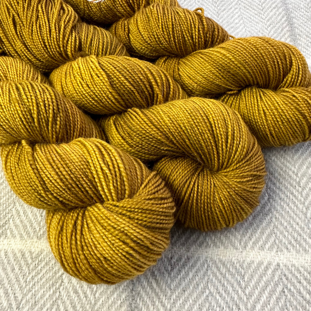 Oyster Yarns Highly Strung Burnt Butter – The Purl Box